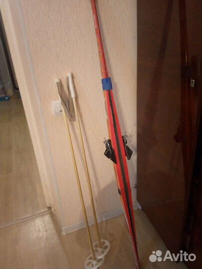 Беговые лыжи