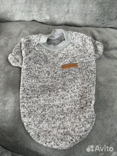 Одежда для собак