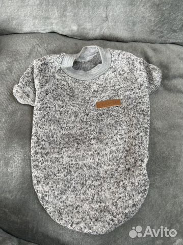 Одежда для собак