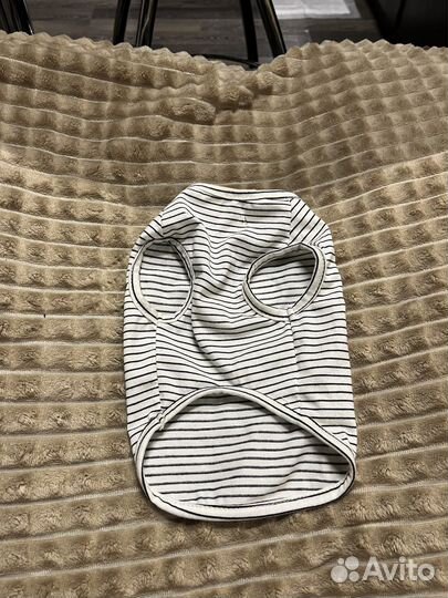 Вещи для собак маленьких пород