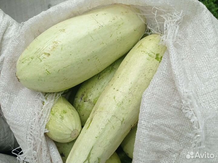 Кабачки свежие