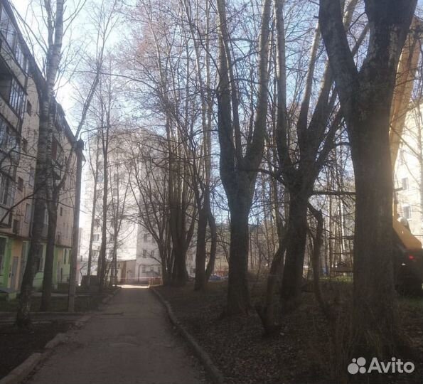 Валка деревьев