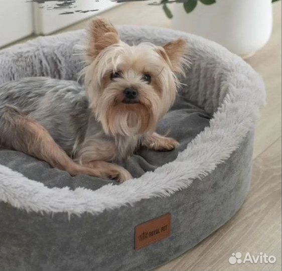 Лежанка для животных