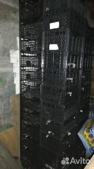 Ящики пластиковые