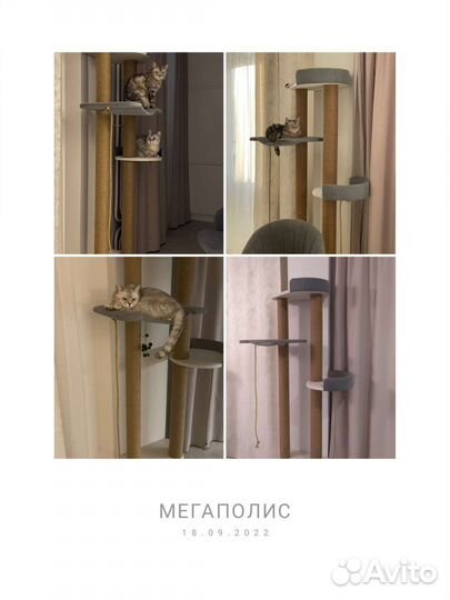 Когтеточки и домики для кошек