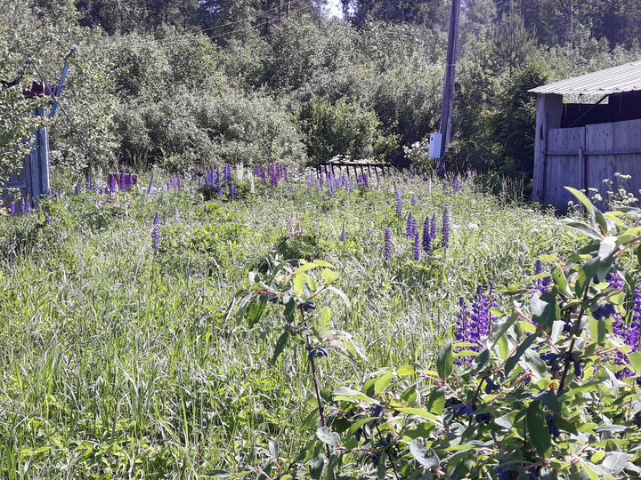 Участок 9 сот. (СНТ, ДНП)