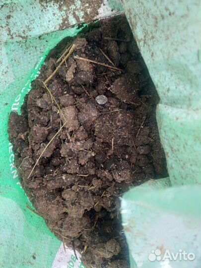 Навоз кроличий