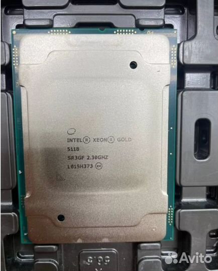 Xeon Gold 5118