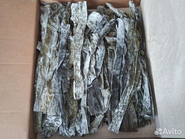 Ламинария слоевища