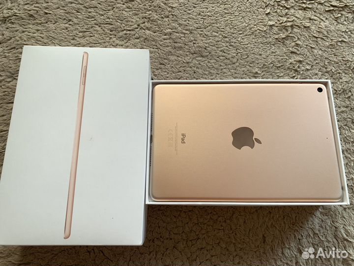 iPad Mini 5 (2019)