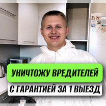 Уничтожение тараканов, клопов. Дезинфекция