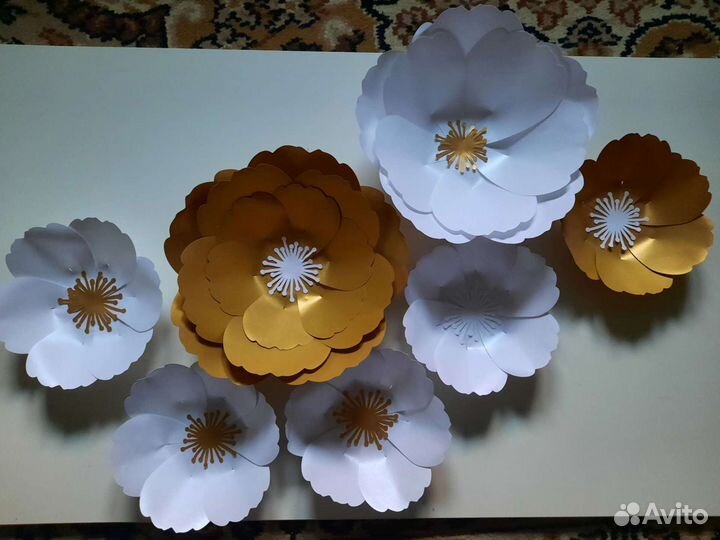 Интерьерные цветы