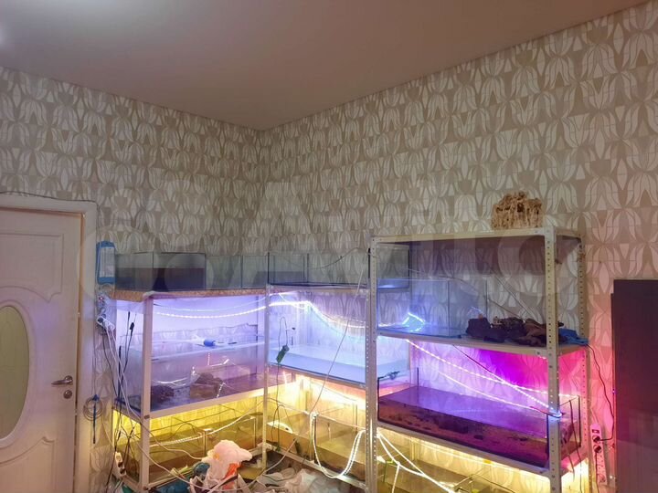 2-к. квартира, 42,4 м², 2/3 эт.