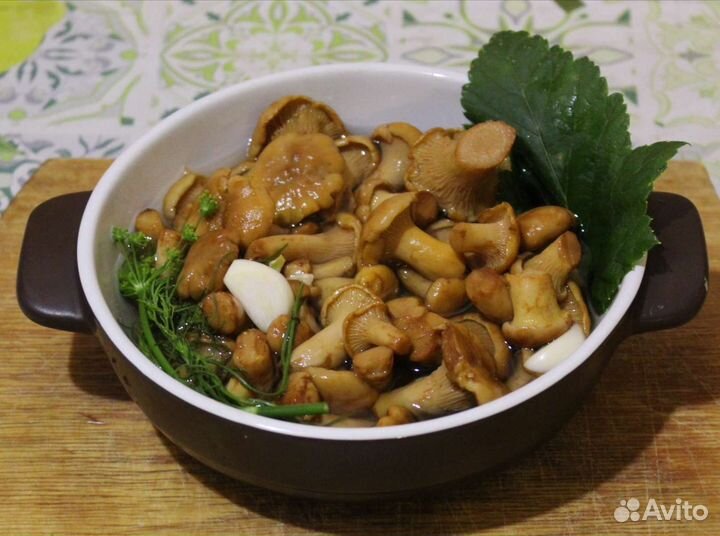 Лисички маринованные