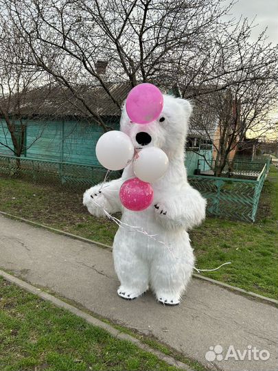 Белый мишка поздравление