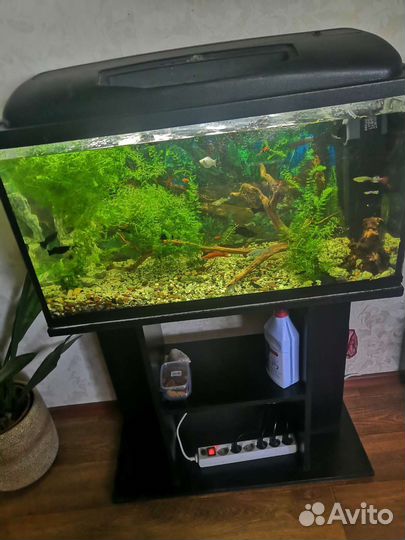 Аквариум