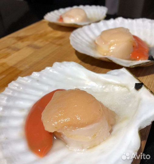 Морской гребешок (на створке)