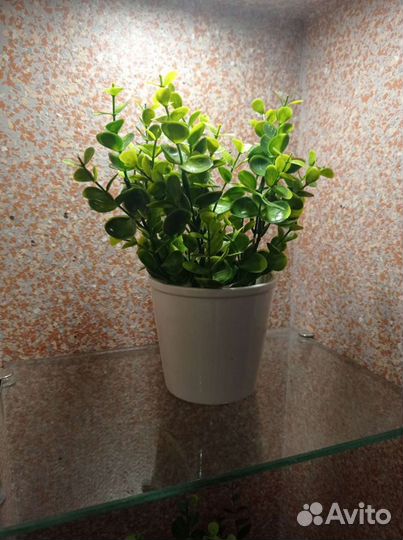 Клевер искусственное растение