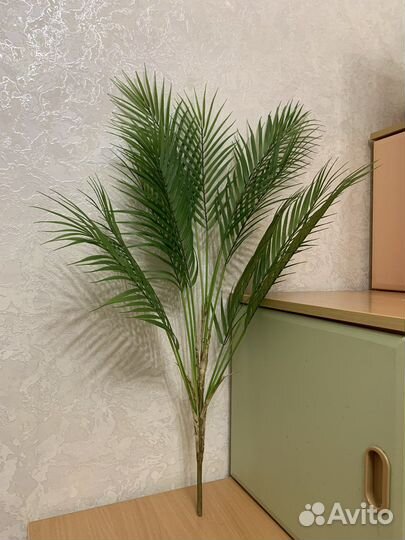 Искусственные растения / Пальма
