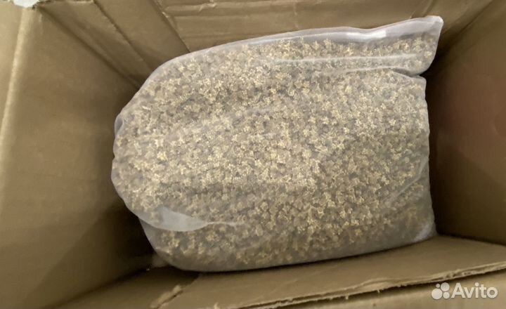 Семена кормовой свеклы коллекция