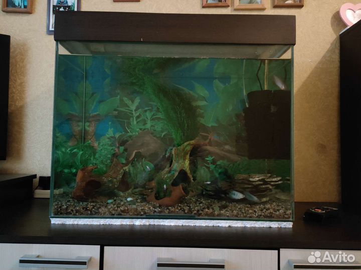 Аквариум