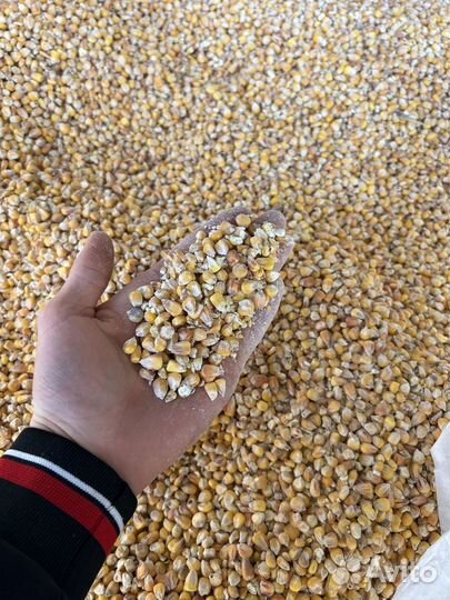 Пшеница Ячмень Кукуруза Овёс комбикорма