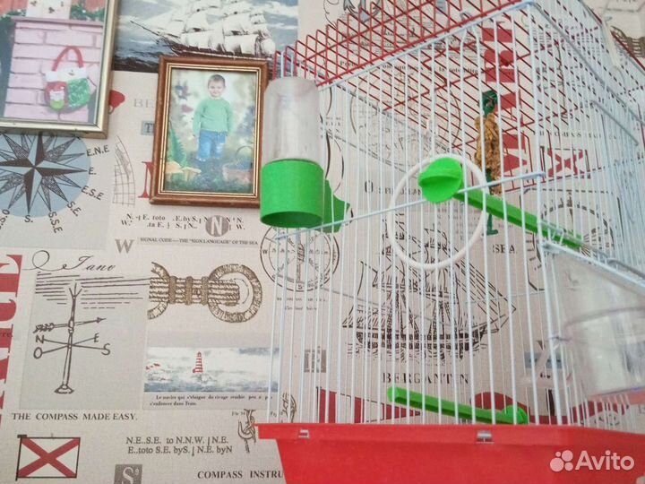 Клетка для попугая