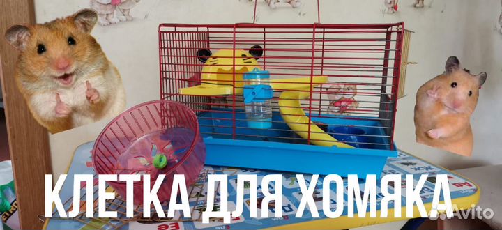 Клетки для хомяков, птиц, колеса для хомяков