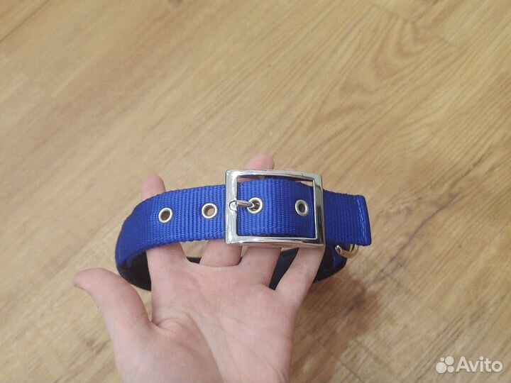 Ошейник для собак крупной породы