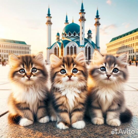 Chat gpt 4 подписка Dalle