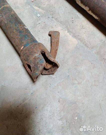 Клиновые леса