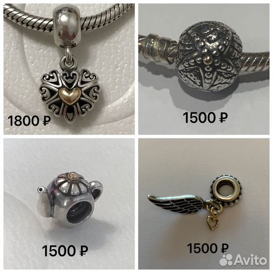 Pandora биколор