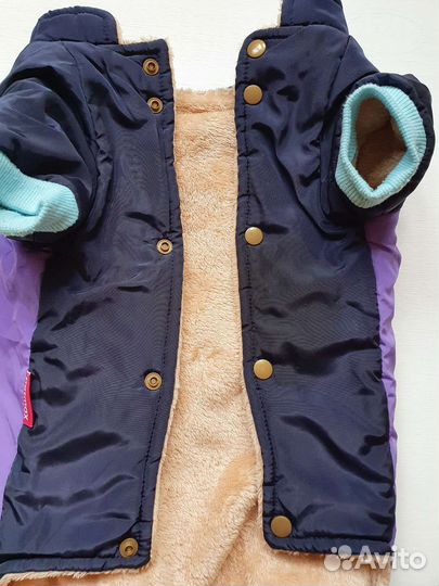 Куртка для собак бигля