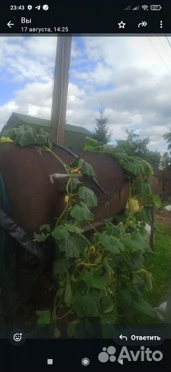 Цистерны емкости бочки