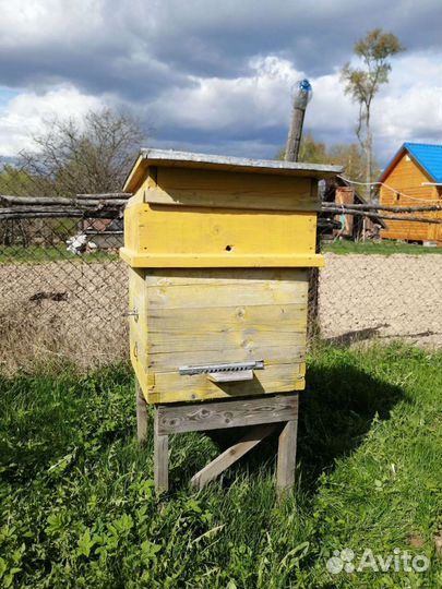 Улей для пчел