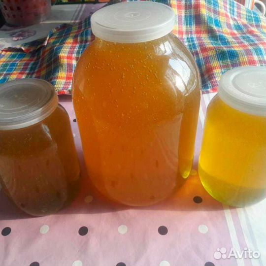 Мëд высокогорный акация + разнотравье