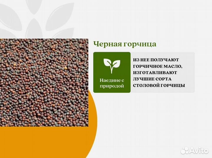 Чёрная горчица (кг)