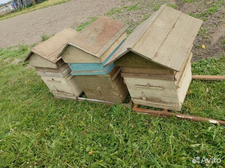 Улей для пчел