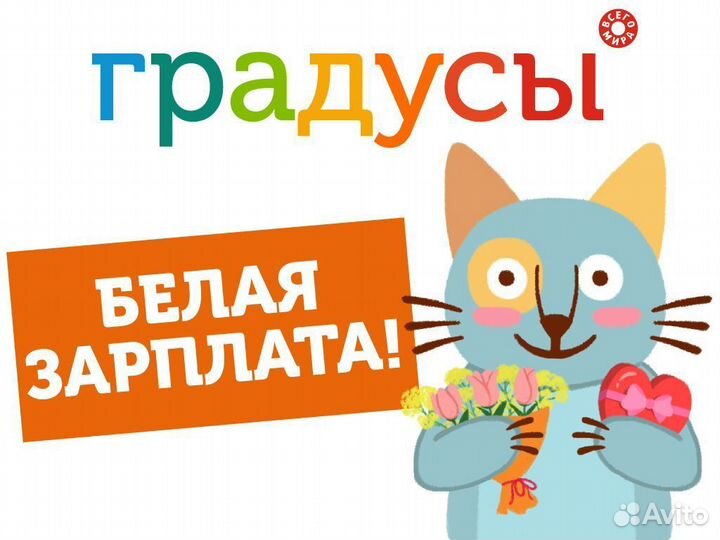 Продавец (ул. Садовая)