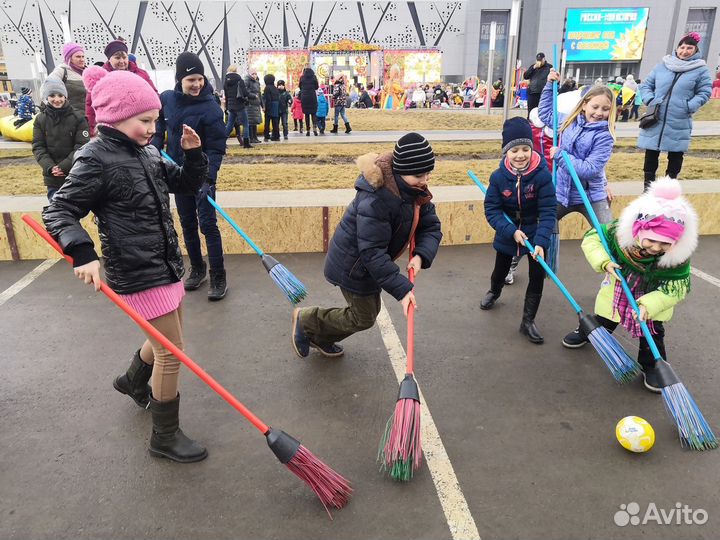 Метлобол с ограждением и воротами