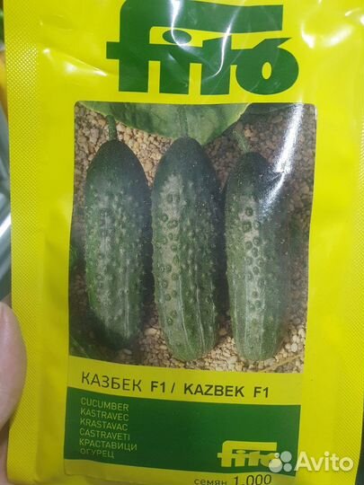 Семена Огурец Казбек 1000с Семиллас Фито