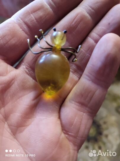 Янтарный паук