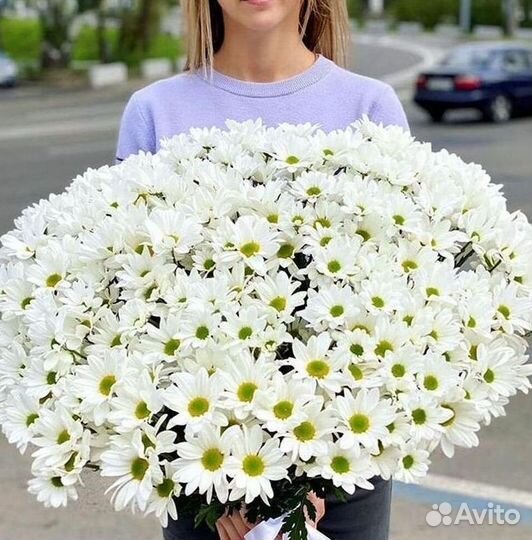 Хризантема. Букеты Цветы доставка