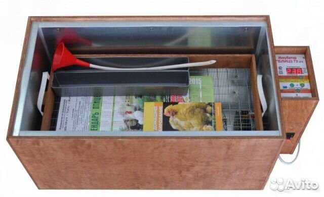 Инкубаторы Блиц