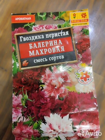Гвоздика,виола,зем-ка,перец,астра