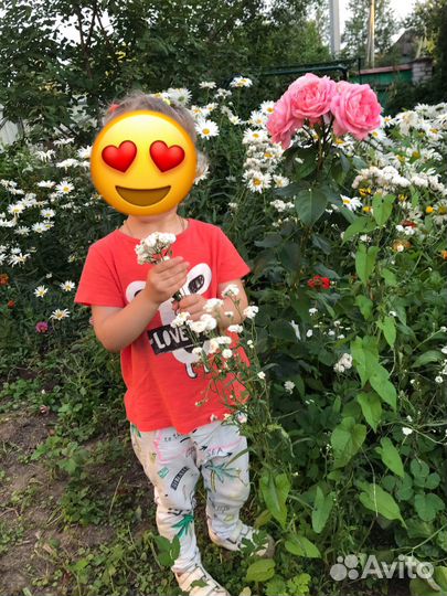 Вещи пакетом для девочки 7 шт