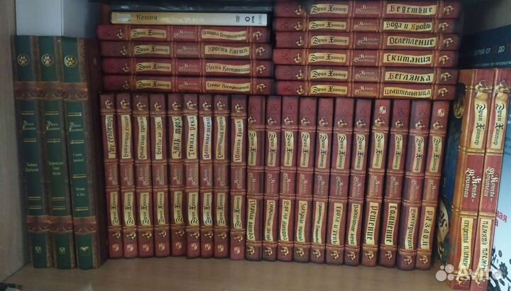 Коты-воители