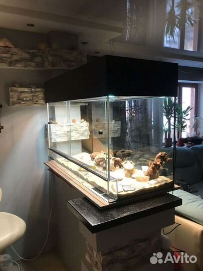 Террариум для рептилий