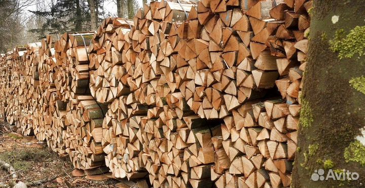 Дрова осина от производителя