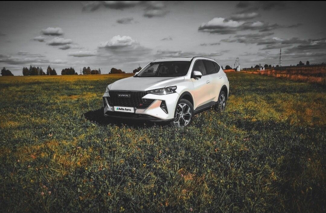 HAVAL F7: фото владельца